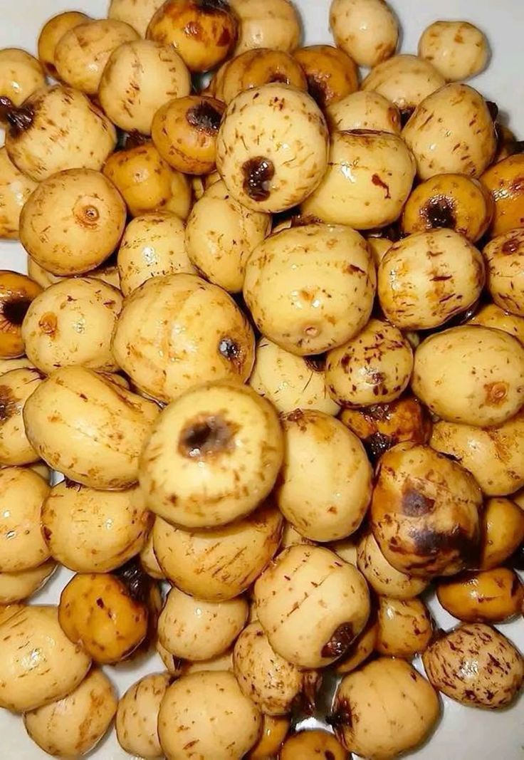 Tiger Nut